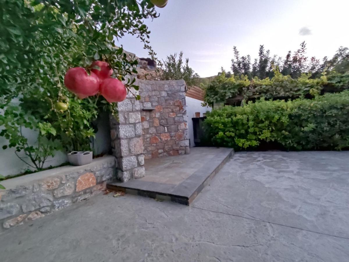 Aithonas Villa Archangelos  Exterior foto