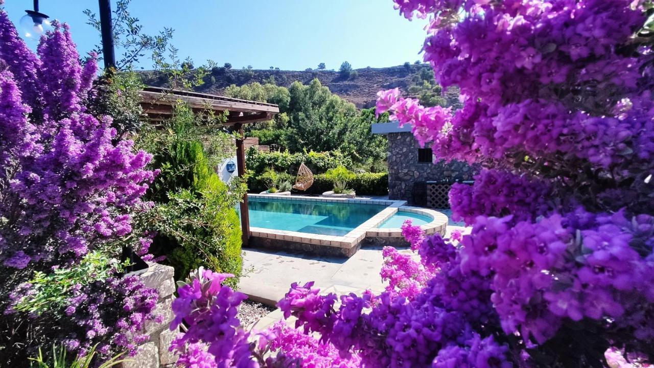 Aithonas Villa Archangelos  Exterior foto