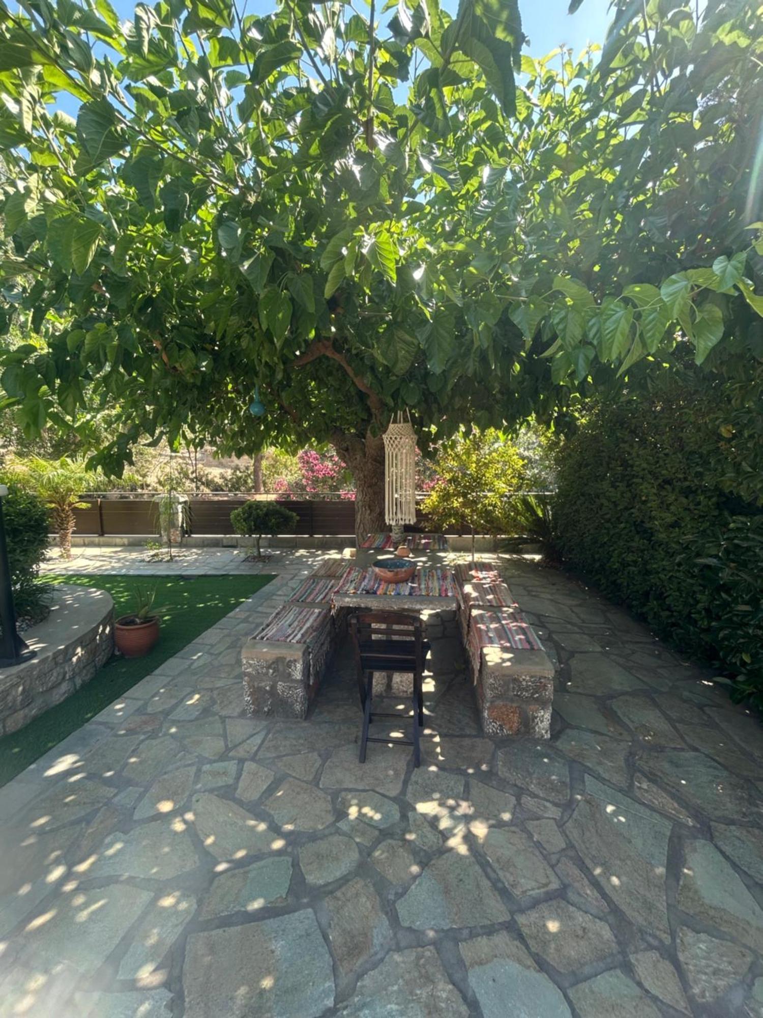 Aithonas Villa Archangelos  Exterior foto